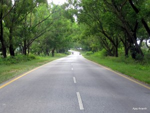 Hassan - Belur Highway, One of the best roads in India