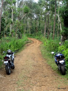 Into the Trails, Somvarpet, Coorg , Karnataka