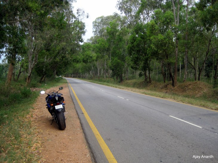 Another view of Hassan-Belur highway, Karnatake